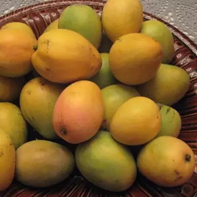 Mangoes ( seasonal )