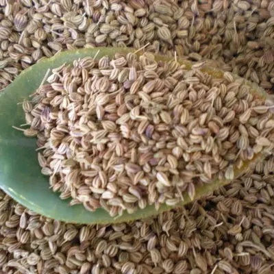 Ajwain